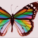 missdreamer83 avatar