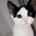 missfeminasium avatar