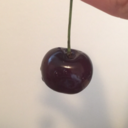 misshapenwings avatar