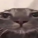 missing-named avatar