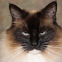 misslolasworld avatar