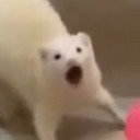 missmaamsstuff avatar