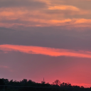 missmichelle333 avatar