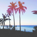 missmonsterxo avatar