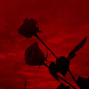 missnightvalesjournal avatar