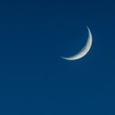 misspokenmemories avatar