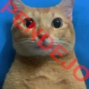 missrottenmind avatar