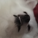 misssilencewritewell avatar