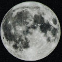 misssmiseryyy avatar