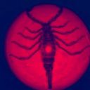 missysmadhouse avatar