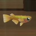 mistakenly-caught-fish avatar