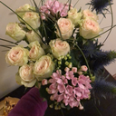 mistakes-over-perfection avatar