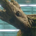 mister--groot-blog avatar