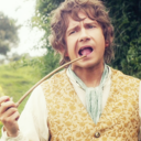 mister-bilbo-baggins avatar