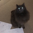 mister-dorian-gay avatar