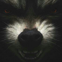 mister-j-3668 avatar