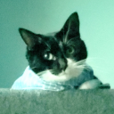 mister-jiji-jojo avatar