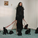 misterbitches avatar