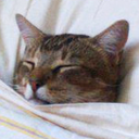 mistercatnaps avatar