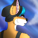 misterfoxsays avatar