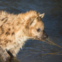 mistergoddess avatar