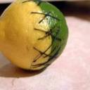 misterlemonzlime avatar