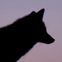 mistermoonys-blog avatar