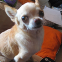 mistersharidan avatar