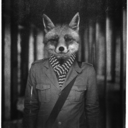 mistervanhaunten avatar