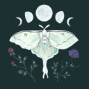 mistilteinnart avatar