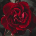 mistressintraining avatar