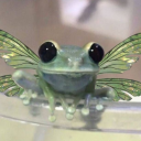 mistyfroggie avatar