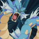 mistysgyarados avatar