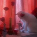 misunderstoods avatar