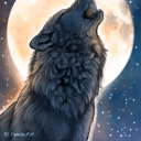 misunderstoodwerewolf avatar