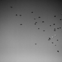 mitallensinnen avatar