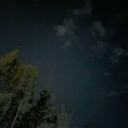 mithen-inthewild avatar