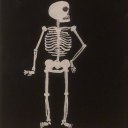 mithridatism--26 avatar