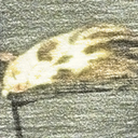 mitsuki0tennyo avatar