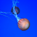 mix3demotions avatar