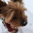 mixtercollins avatar