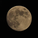 mizantropijnie avatar