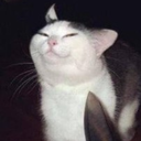 mizericordiaandbrazilian avatar