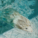 mizuski-pirat avatar