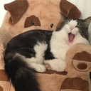 mizzfantabulous avatar