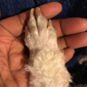 mizznannerbelly avatar