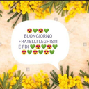 mladic52-blog avatar