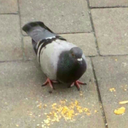 mlaskmlaskmlask avatar