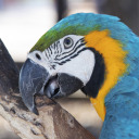 mleane32universe avatar