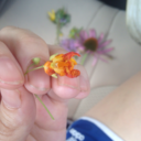 mlkshkswmedusa avatar